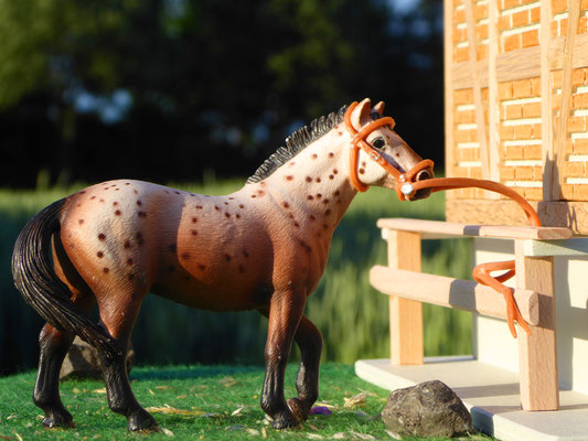 Schleich Pferd bei 3zinken Sattelkammer