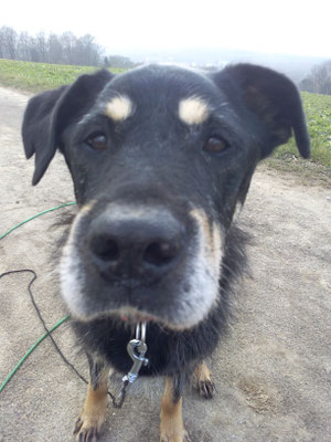 Na was guckst Du.