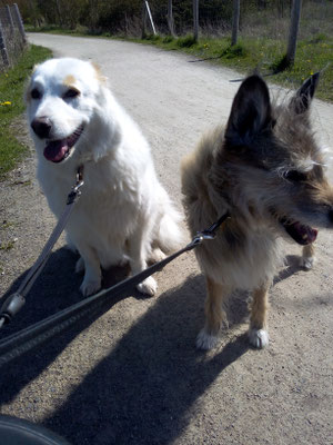 Emma und Sally, zwei Schätzchen halt.