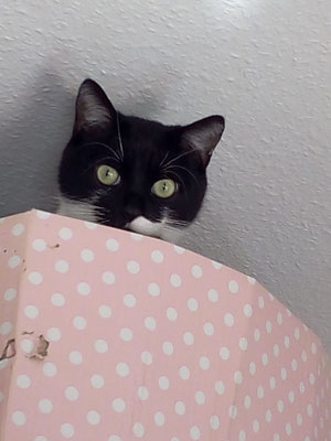 Huch, Claudia ist jetzt da.