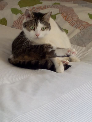 Na,na,na  eine Prinzessin möchte beim säubern nicht fotografiert werden.