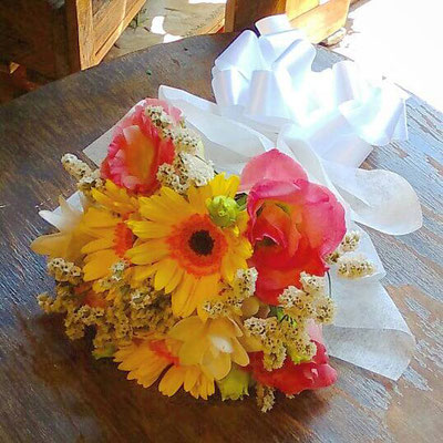 たくさんの思いを込めたペットのお供え花 西葛西花屋 風林花 西葛西花屋 Fu Rin Ka ページ