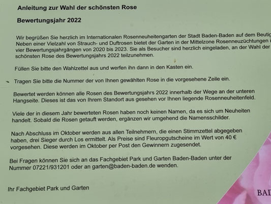 So wählt man seine persönliche Rosen-Schönheits-Königin