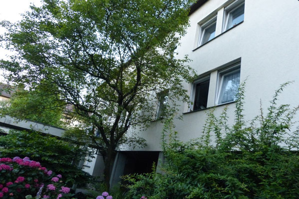Atrium Fassade