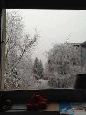 Winterblick vom Zimmer aus