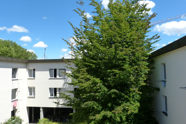 Innenhof