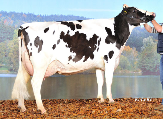 Morty WESUVE x Jolt Wenetie x Stardom Wendy