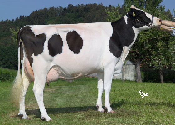 Lee WENGA x Juror Wendee x Stardom Wendy