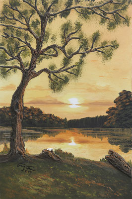 See Baum