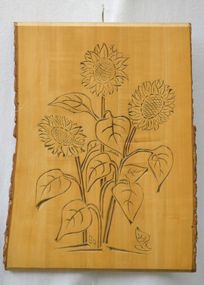 Sonnenblume