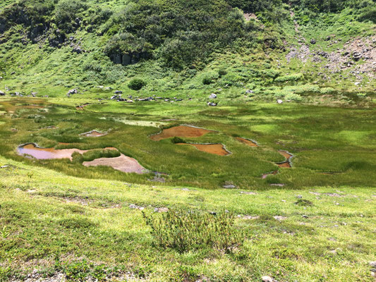 地の池