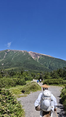 田ノ原から望む御嶽山