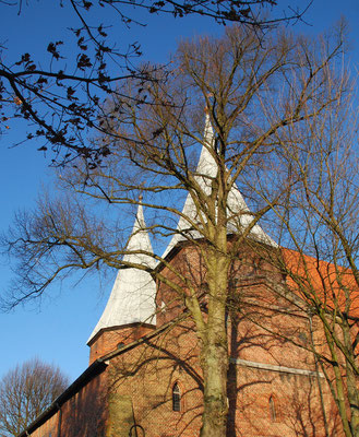 Bardowicker Dom