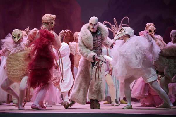 Wiedhopf am Staatstheater Braunschweig ( (c) Thomas M. Jauk)