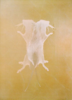 Feeling 7｜43×33cm｜2003｜inkjet print,screen print