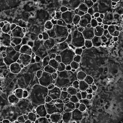 Seepage ・Black｜detail｜2005｜digital print
