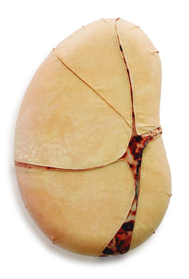 Feel of Grope 11 | 87×56×12cm | 2002 | screenprint,ink-jet print,styrofoam