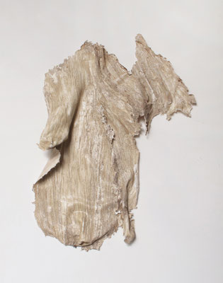 Skin of Tree｜60×50×8cm｜2015｜craft glue,oil ink