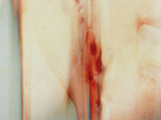Feel of Grope 4 | 27×36×2cm  | 2002 | inkjet print,drawing,screenprint