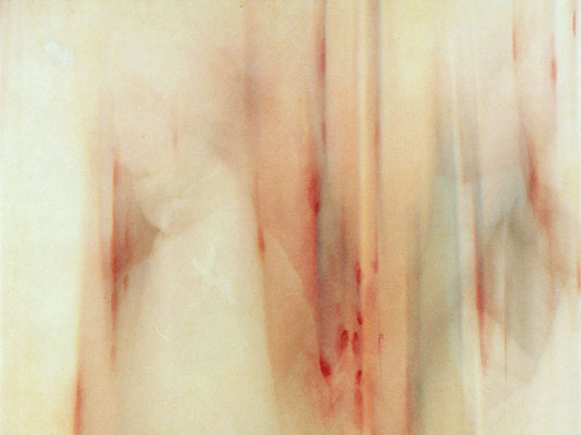 Feel of Grope 3 | 27×36×2cm  | 2002 | inkjet print,drawing,screenprint