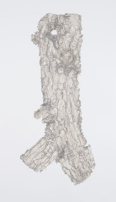 Skin of Tree 21｜128×73.5cm｜2015｜craft glue,oil ink,paper