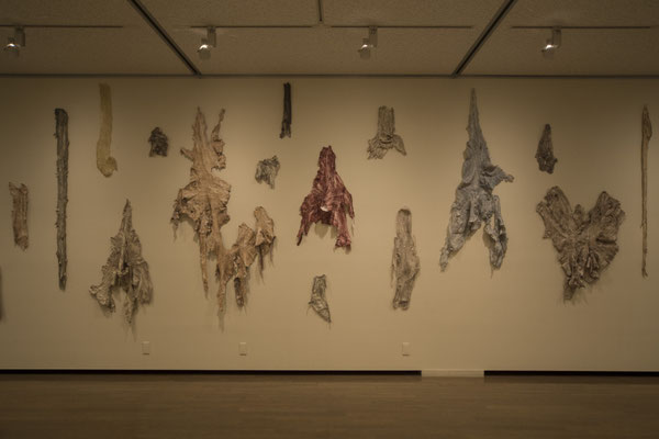 現代美術レジデンスプログラム　皮膚感覚　阿部大介展｜2015年｜美濃加茂市民ミュージアム