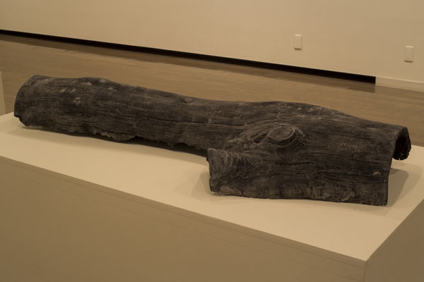 Untitled • skin of tree｜variable size｜2015｜plaster,oil ink,acrylic paint,others