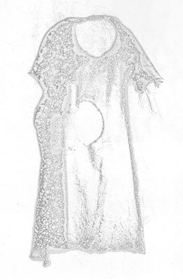 Dreams-spill over 07-04｜80×60cm｜2007｜digitalprint,acrylic