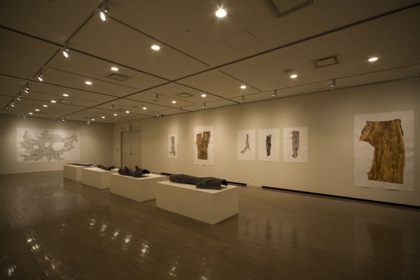 現代美術レジデンスプログラム　皮膚感覚　阿部大介展｜2015年｜美濃加茂市民ミュージアム