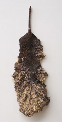 Untitled • Feather duster｜110×30×15cm｜2015｜puff binder,dyestuff,others