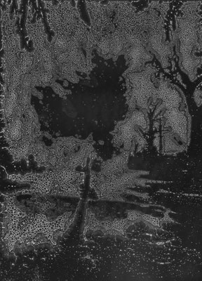 Seepage ・ Black ・ 11｜105×145cm｜2005｜digital print