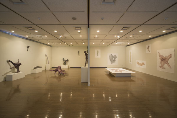 現代美術レジデンスプログラム　皮膚感覚　阿部大介展｜2015年｜美濃加茂市民ミュージアム