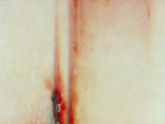 Feel of Grope 5 | 27×36×2cm  | 2002 | inkjet print,drawing,screenprint