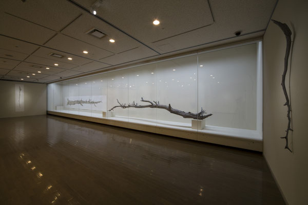 現代美術レジデンスプログラム　皮膚感覚　阿部大介展｜2015年｜美濃加茂市民ミュージアム