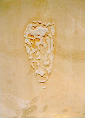 Feeling 2｜43×33cm｜2003｜inkjet print,screen print