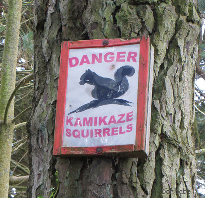 Schild warnt vor rücksichtslosen Eichhörnchen