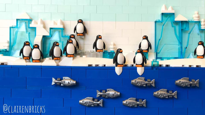 Claire Nordlow Boyd Virtual Background Penguins
