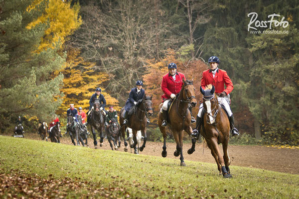RossFoto Dana Krimmling; Schleppjagd Deutscher Kavallerieverband; Sigmaringen 2015; Pferdefotografie; Fotografie; Wanderreiten; Freizeitreiten; Jagdreiten; Kavallerie; Kavalleriereiten; Schleppjagd; Jagdhunde; Hundemeute; Meute; Jagd; Herbstjagd; Deutsche