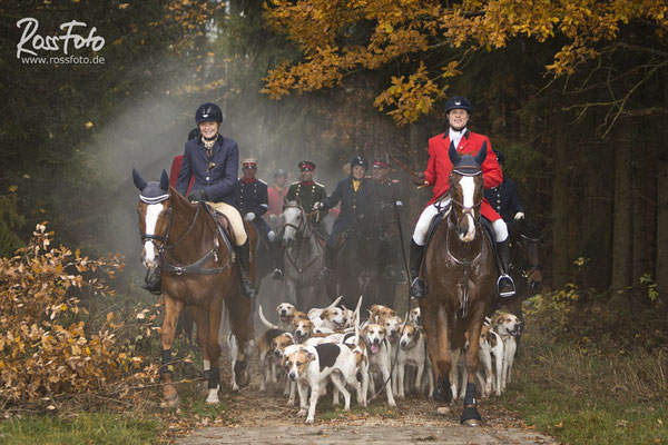 RossFoto Dana Krimmling; Schleppjagd Deutscher Kavallerieverband; Sigmaringen 2015; Pferdefotografie; Fotografie; Wanderreiten; Freizeitreiten; Jagdreiten; Kavallerie; Kavalleriereiten; Schleppjagd; Jagdhunde; Hundemeute; Meute; Jagd; Herbstjagd; Deutsche