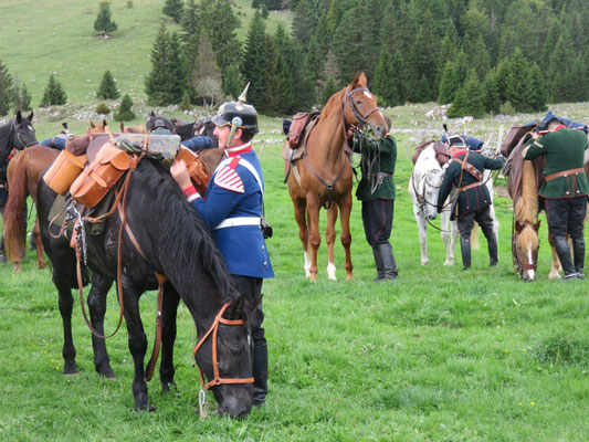 Deutscher Kavallerieverband, Gedenkritt Abschaffung der Schweizer Kavallerie, Kavalleriepferd