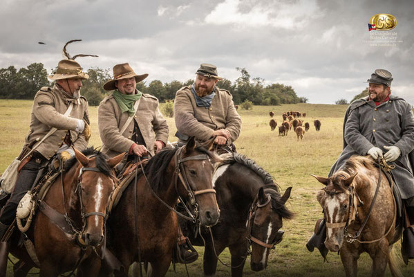 RossFoto Dana Krimmling, Reenactment Great Beefsteak Raid, Deutscher Kavallerieverband, Pferdefotografie, US CS Cavalry, 