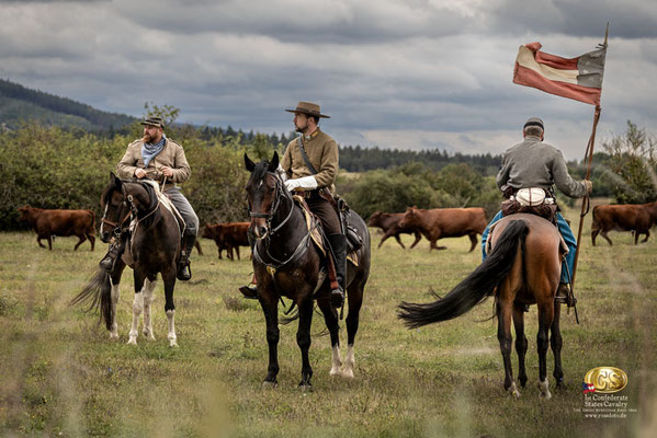 RossFoto Dana Krimmling, Reenactment Great Beefsteak Raid, Deutscher Kavallerieverband, Pferdefotografie, US CS Cavalry, 