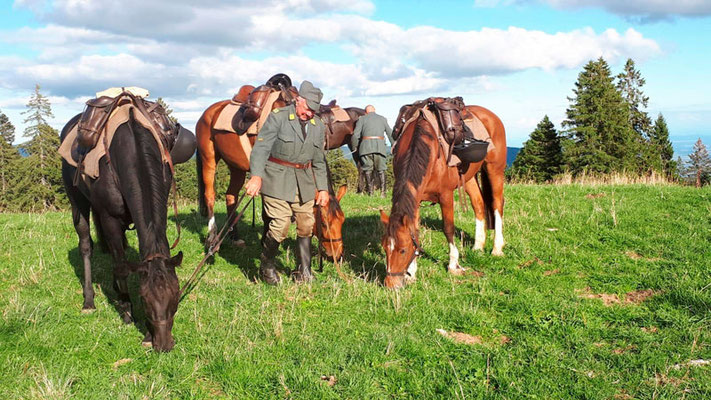 Deutscher Kavallerieverband, Gedenkritt Abschaffung der Schweizer Kavallerie, Kavalleriepferd