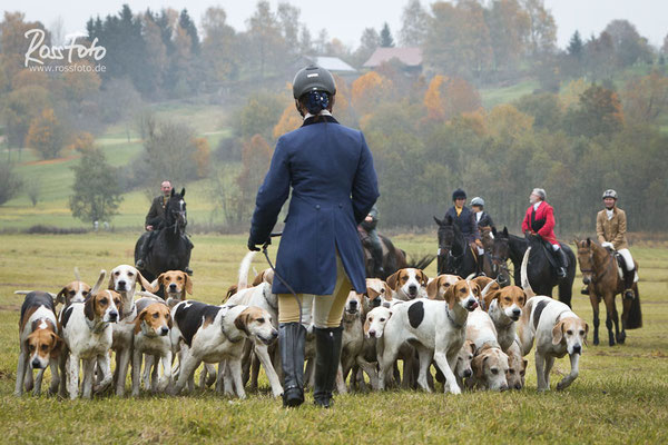 RossFoto Dana Krimmling; Schleppjagd Deutscher Kavallerieverband; Sigmaringen 2015; Pferdefotografie; Fotografie; Wanderreiten; Freizeitreiten; Jagdreiten; Kavallerie; Kavalleriereiten; Schleppjagd; Jagdhunde; Hundemeute; Meute; Jagd; Herbstjagd; Deutsche