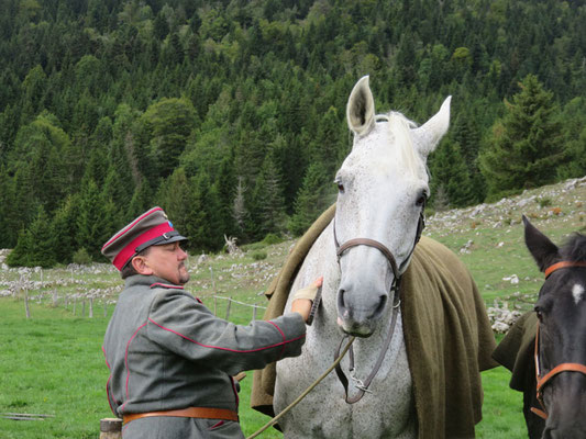 Deutscher Kavallerieverband, Gedenkritt Abschaffung der Schweizer Kavallerie, Kavalleriepferd