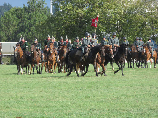 Deutscher Kavallerieverband, Gedenkritt Abschaffung der Schweizer Kavallerie, Kavalleriepferd