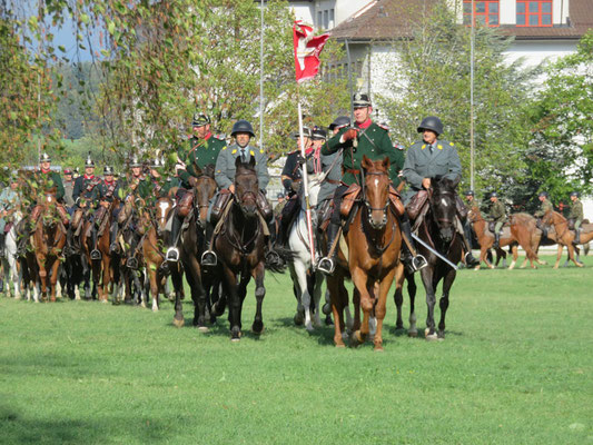 Deutscher Kavallerieverband, Gedenkritt Abschaffung der Schweizer Kavallerie, Kavalleriepferd