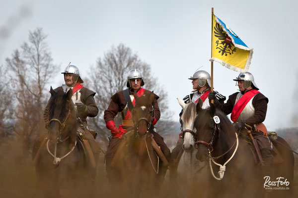 RossFoto Dana Krimmling, Deutscher Kavallerieverband, Pferdefotografie, Pappenheimer Reiter, Reiter mit Helm und Kürass