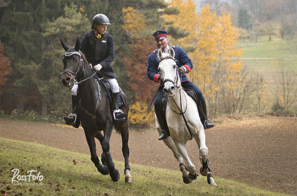 RossFoto Dana Krimmling; Schleppjagd Deutscher Kavallerieverband; Sigmaringen 2015; Pferdefotografie; Fotografie; Wanderreiten; Freizeitreiten; Jagdreiten; Kavallerie; Kavalleriereiten; Schleppjagd; Jagdhunde; Hundemeute; Meute; Jagd; Herbstjagd; Deutsche