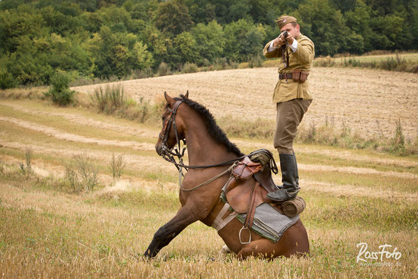 Bitwa pod Komarowem, Deutscher Kavallerieverband, RossFoto Dana Krimmling
